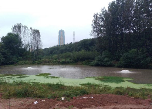 湖南长沙河流黑臭水处理项目